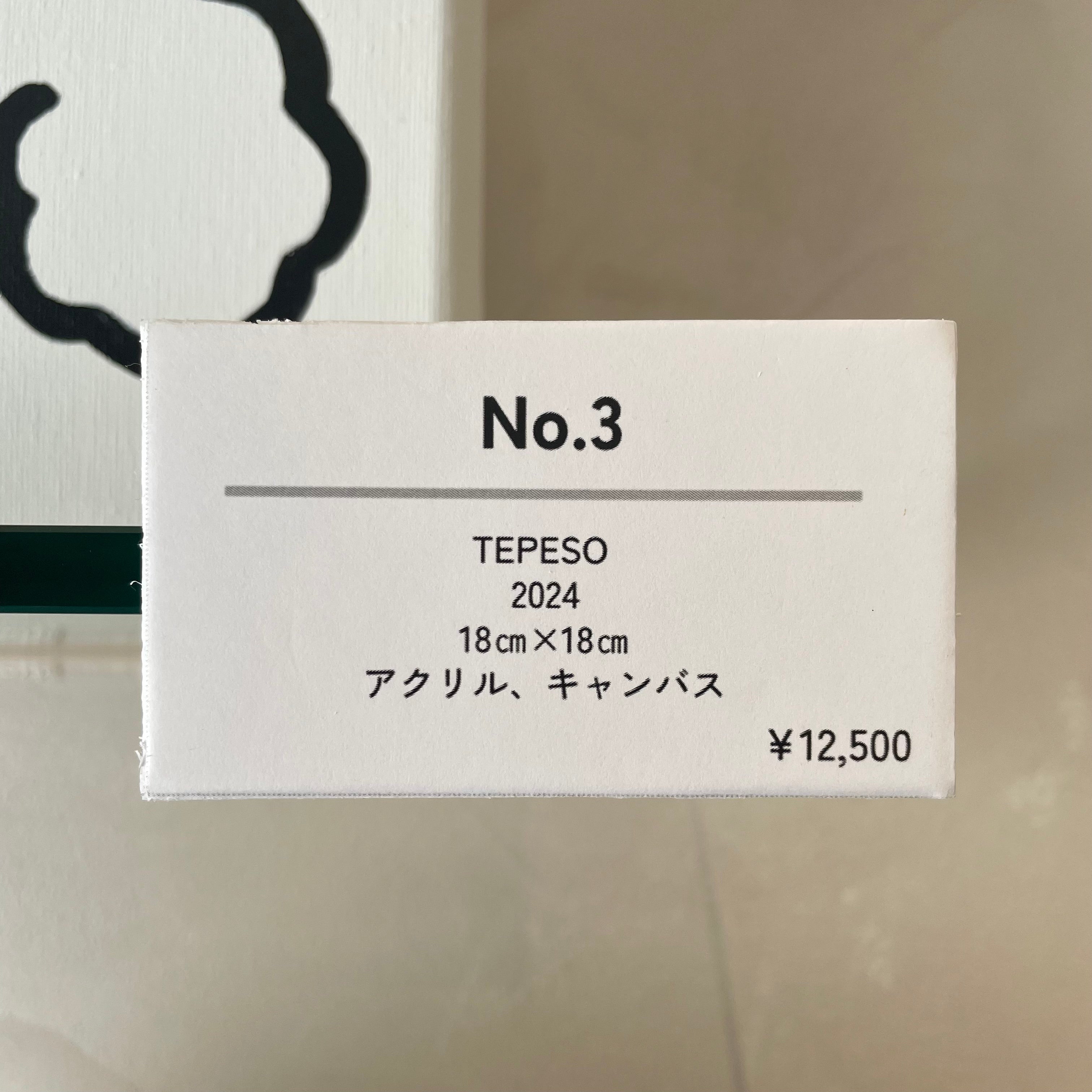 TEPESO 2024 NO.3