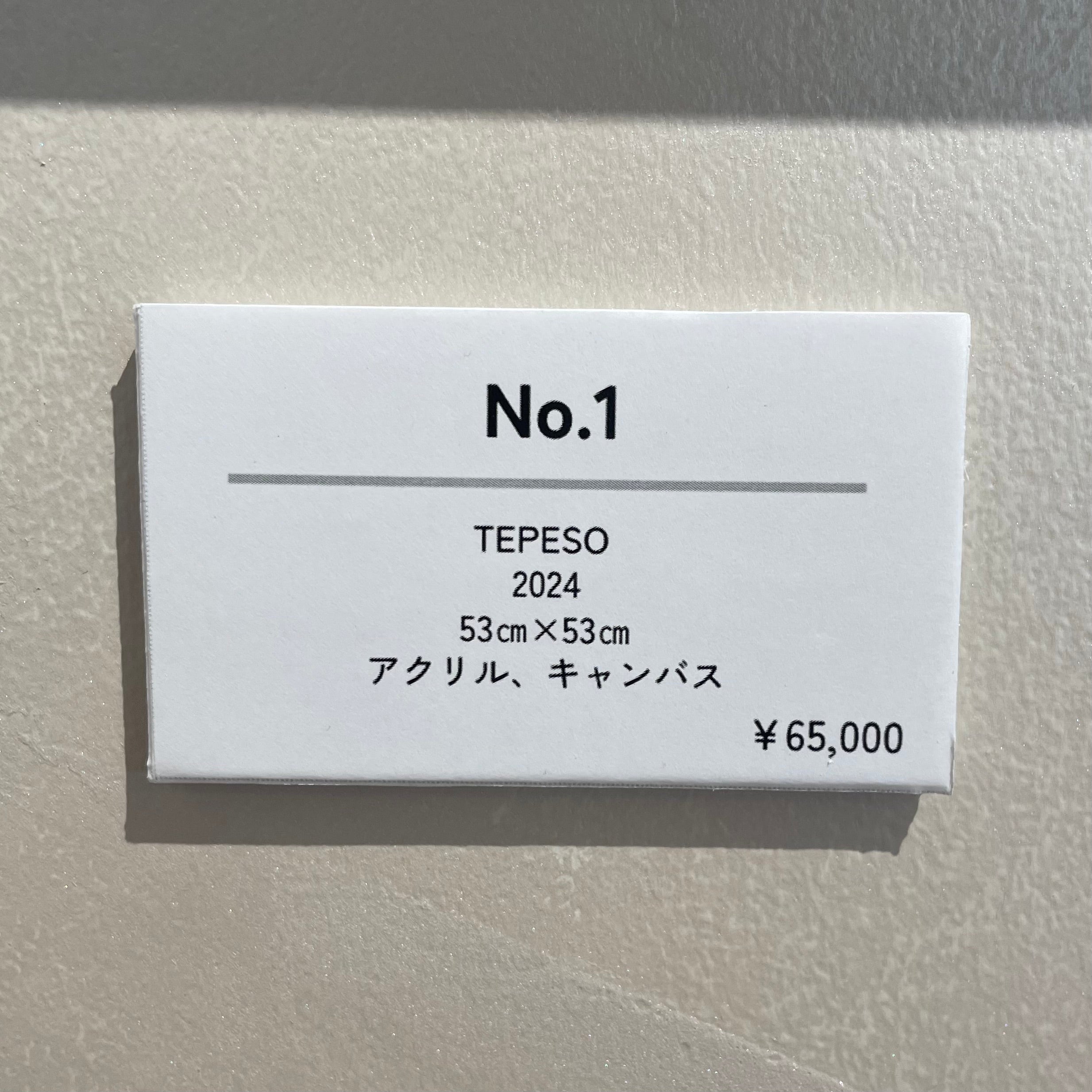 TEPESO 2024 NO.1