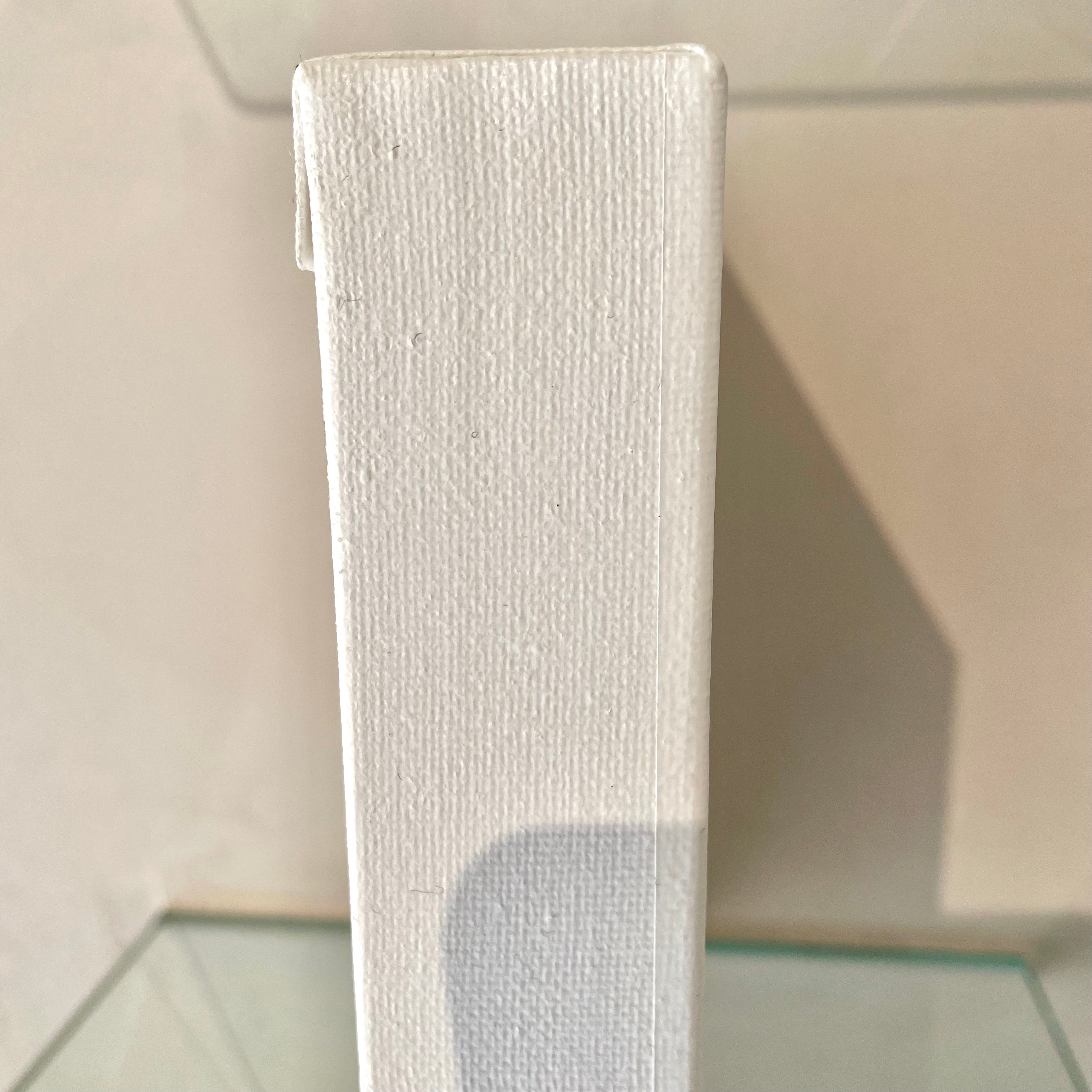 Saneyuki Matsumoto 原画「INNOCENT GIRLS  VENTURE TRINIDAD and TOBAGO」